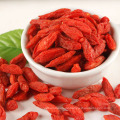 Nueva hierba Goji Beere